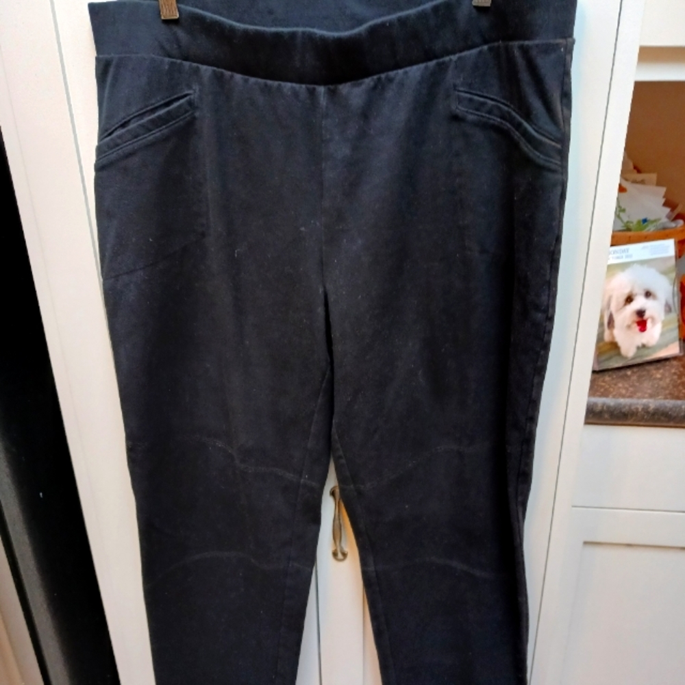Talbots Activewear black pants size 2x